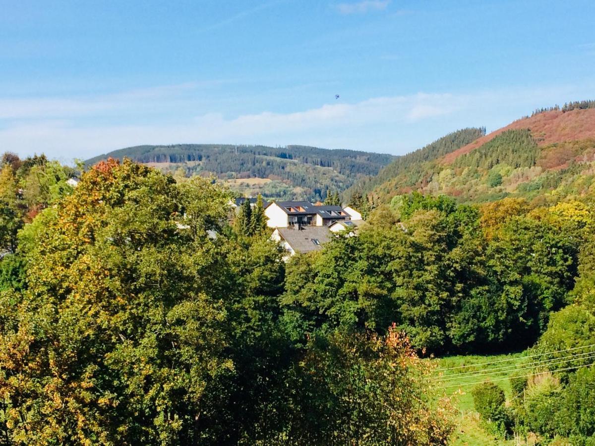 Ferienwohnung Stremme Willingen  Exterior foto